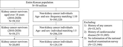 Increased risk of cardiovascular disease among kidney cancer survivors: a nationwide population-based cohort study